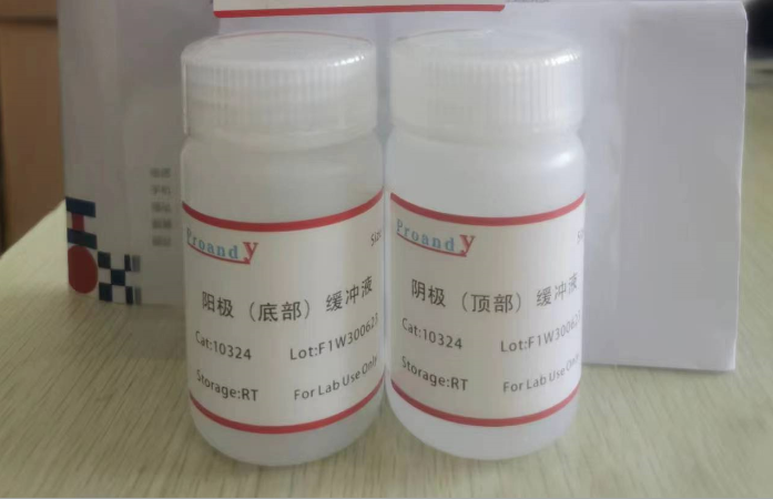 TrisCAPS 半干轉(zhuǎn)轉(zhuǎn)膜緩沖液.png