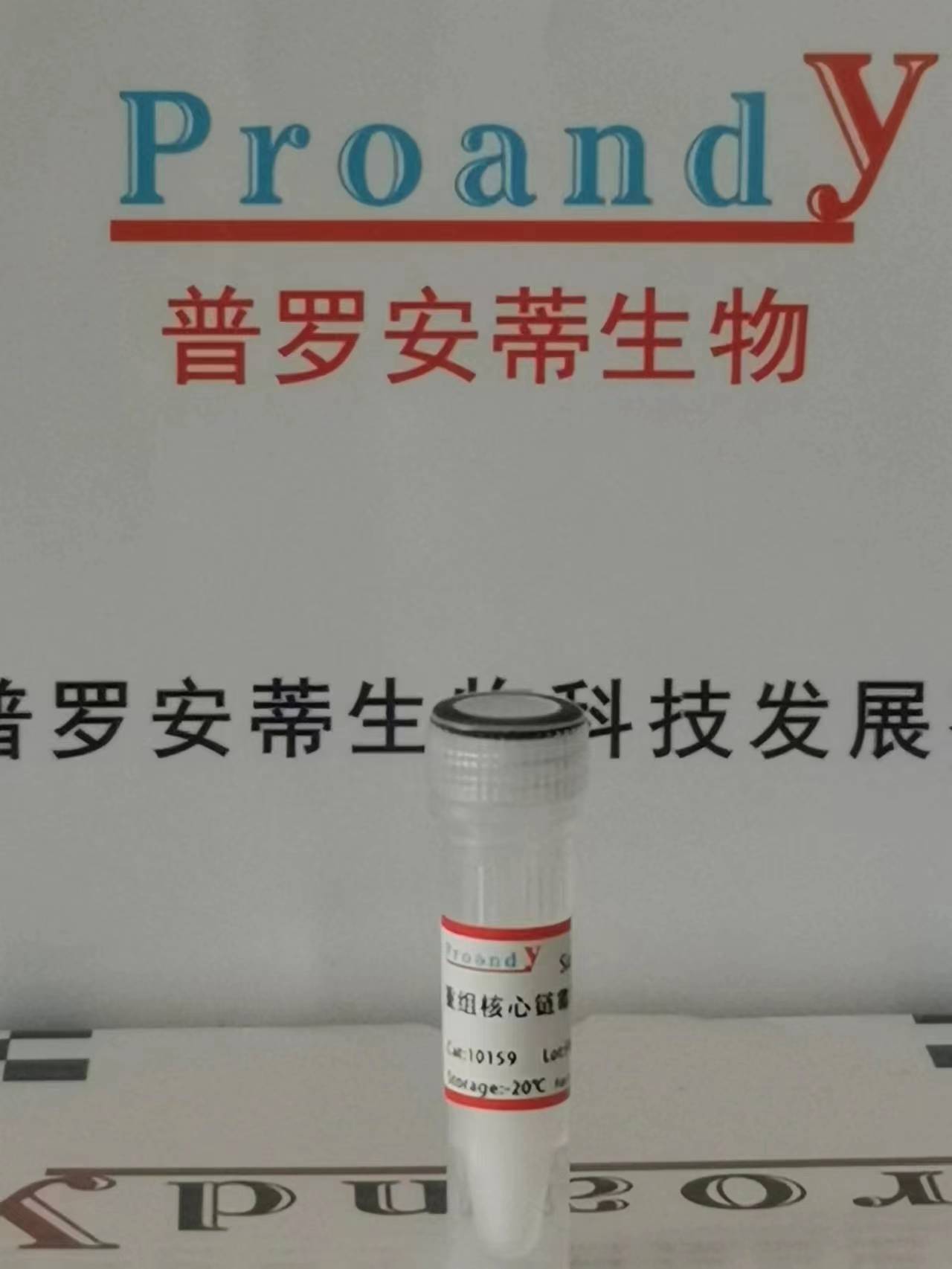 1692353054421965.jpg 重組鏈霉親和素-標(biāo)記.jpg