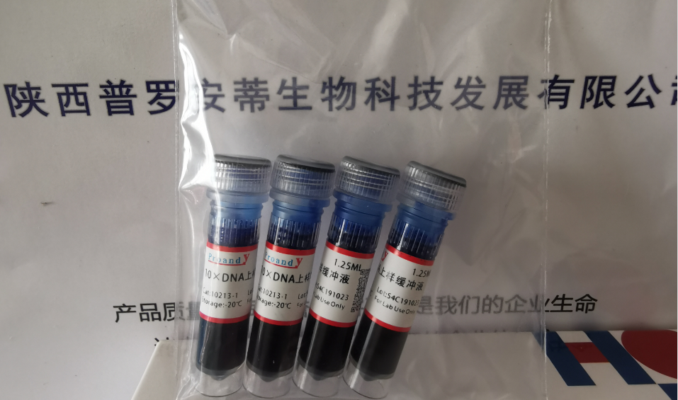 1697775939907219.png 10xDNA上樣液.png