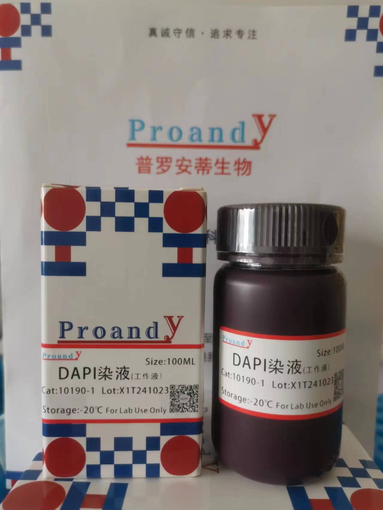 1698370255315561.jpg DAPI染液.jpg