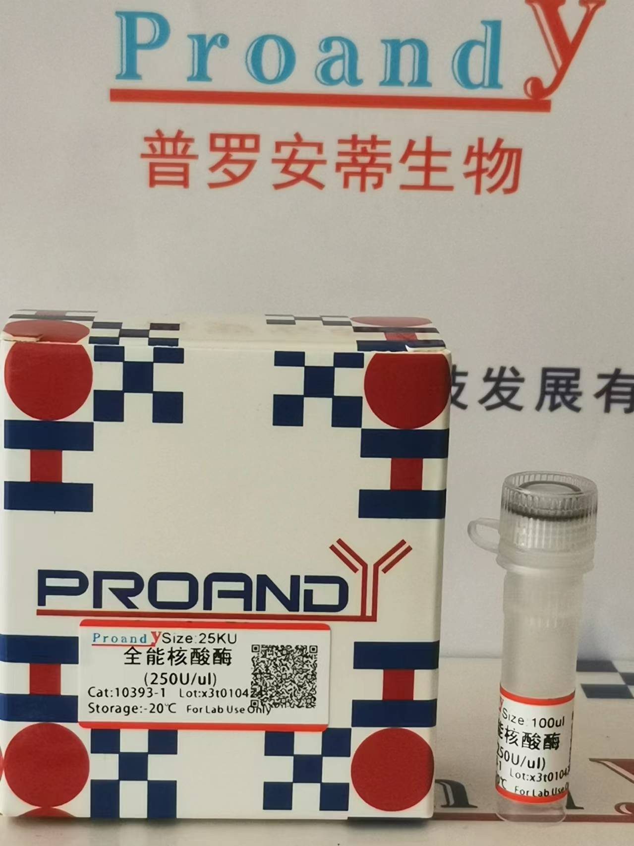 1711947459265104.jpg 全能核酸酶.jpg