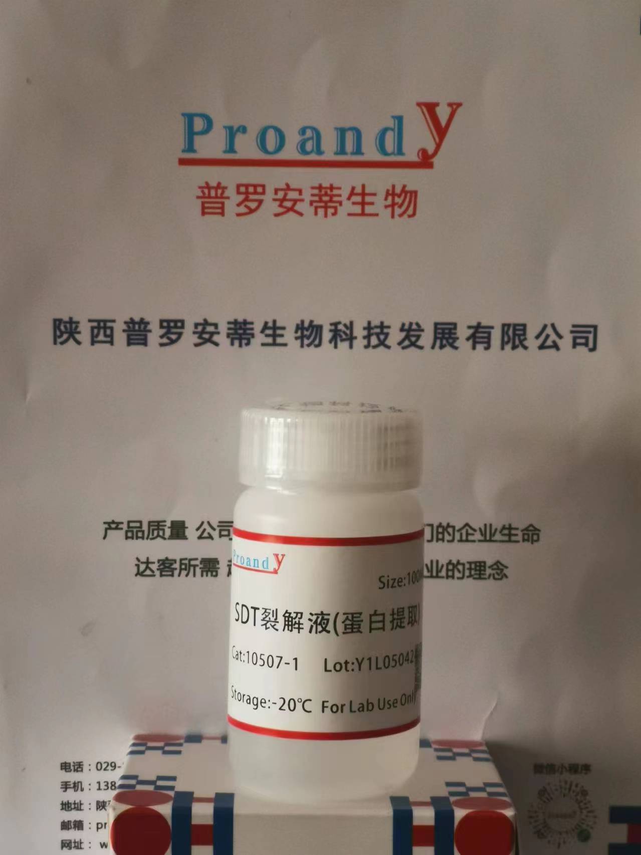 1712310225530009.jpg SDT裂解液.jpg