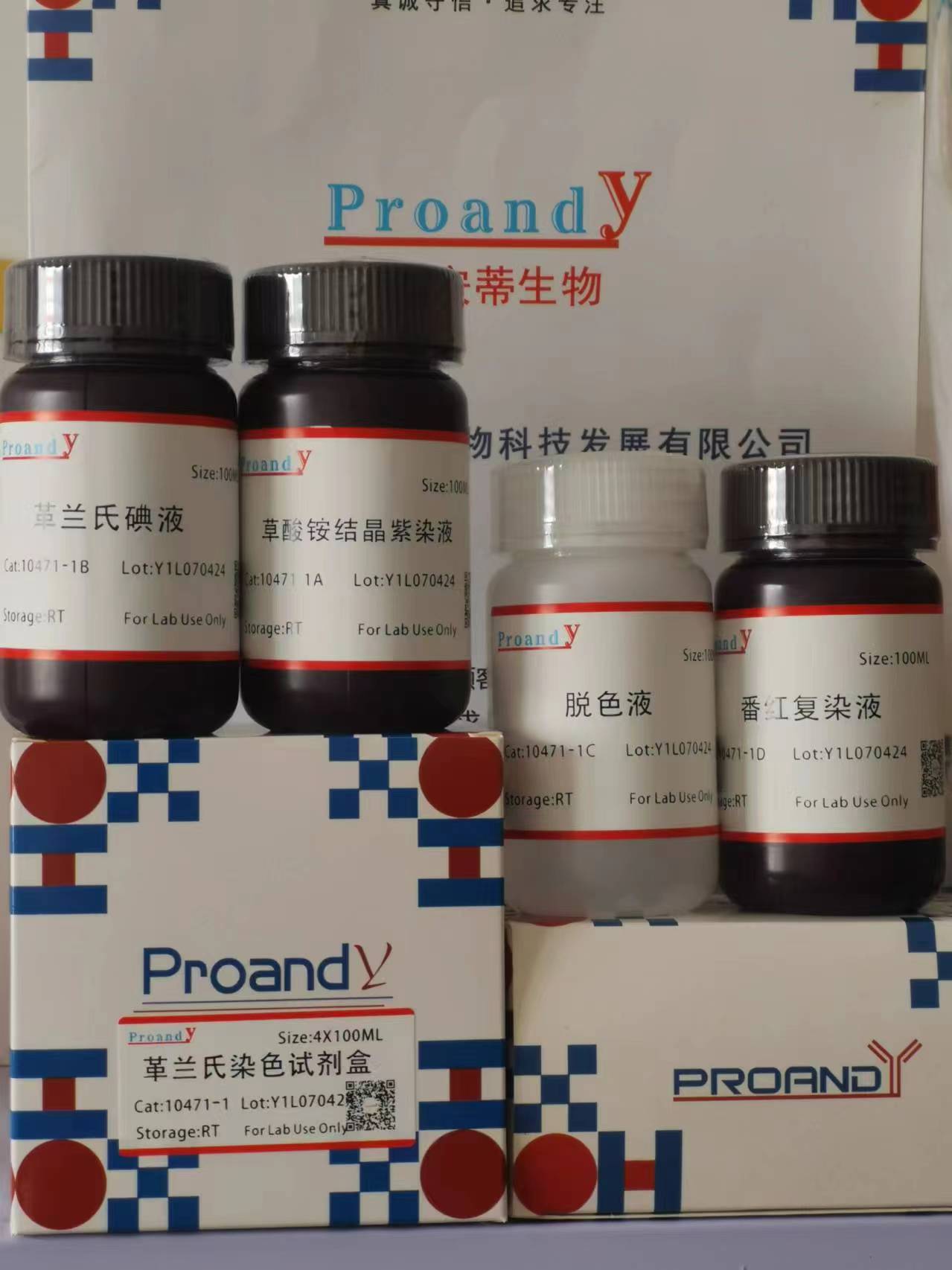 1712454557257058.jpg 革蘭氏染色液試劑盒.jpg