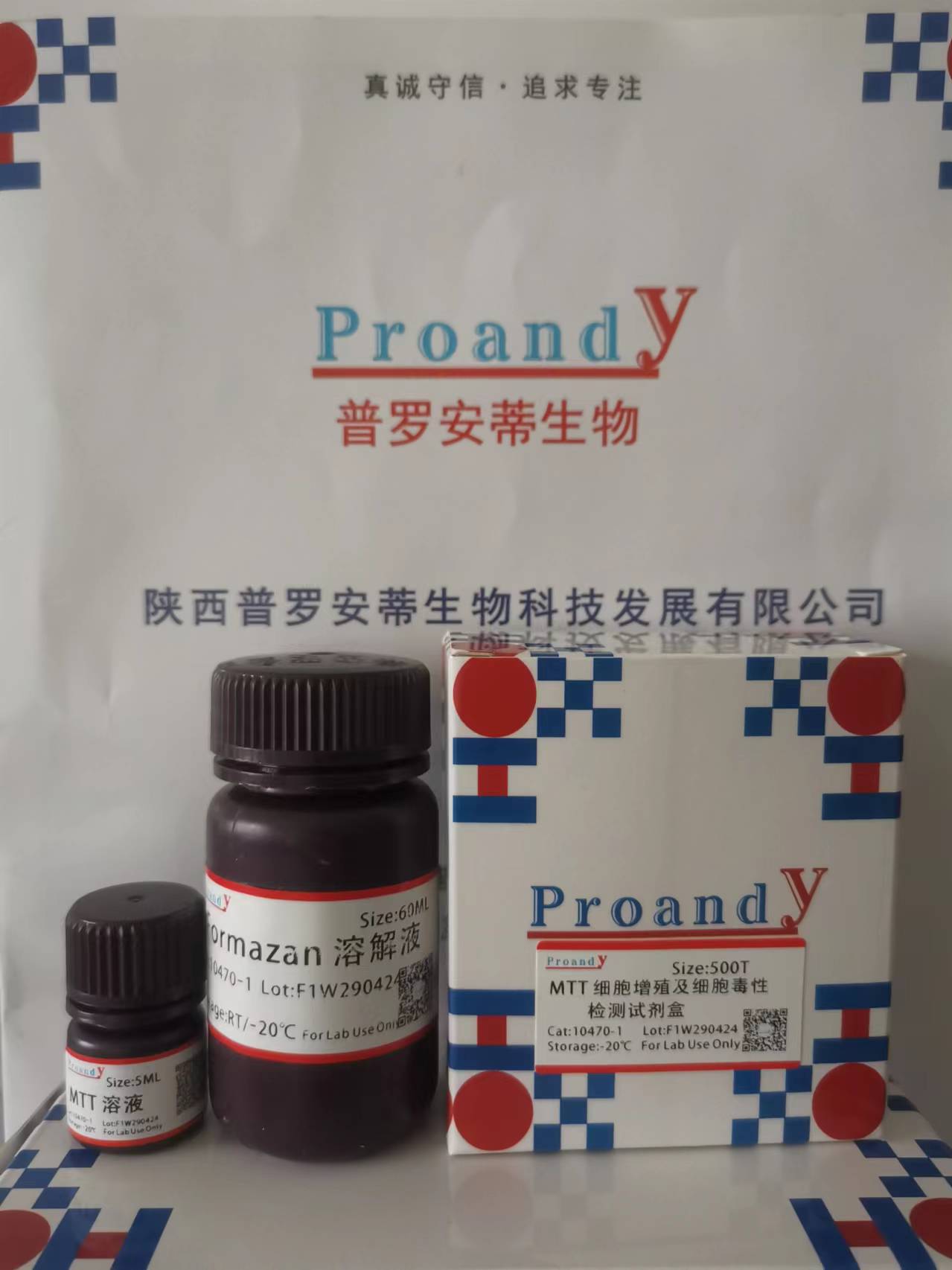 MTT 細(xì)胞增殖及細(xì)胞毒性檢測(cè)試劑盒.jpg