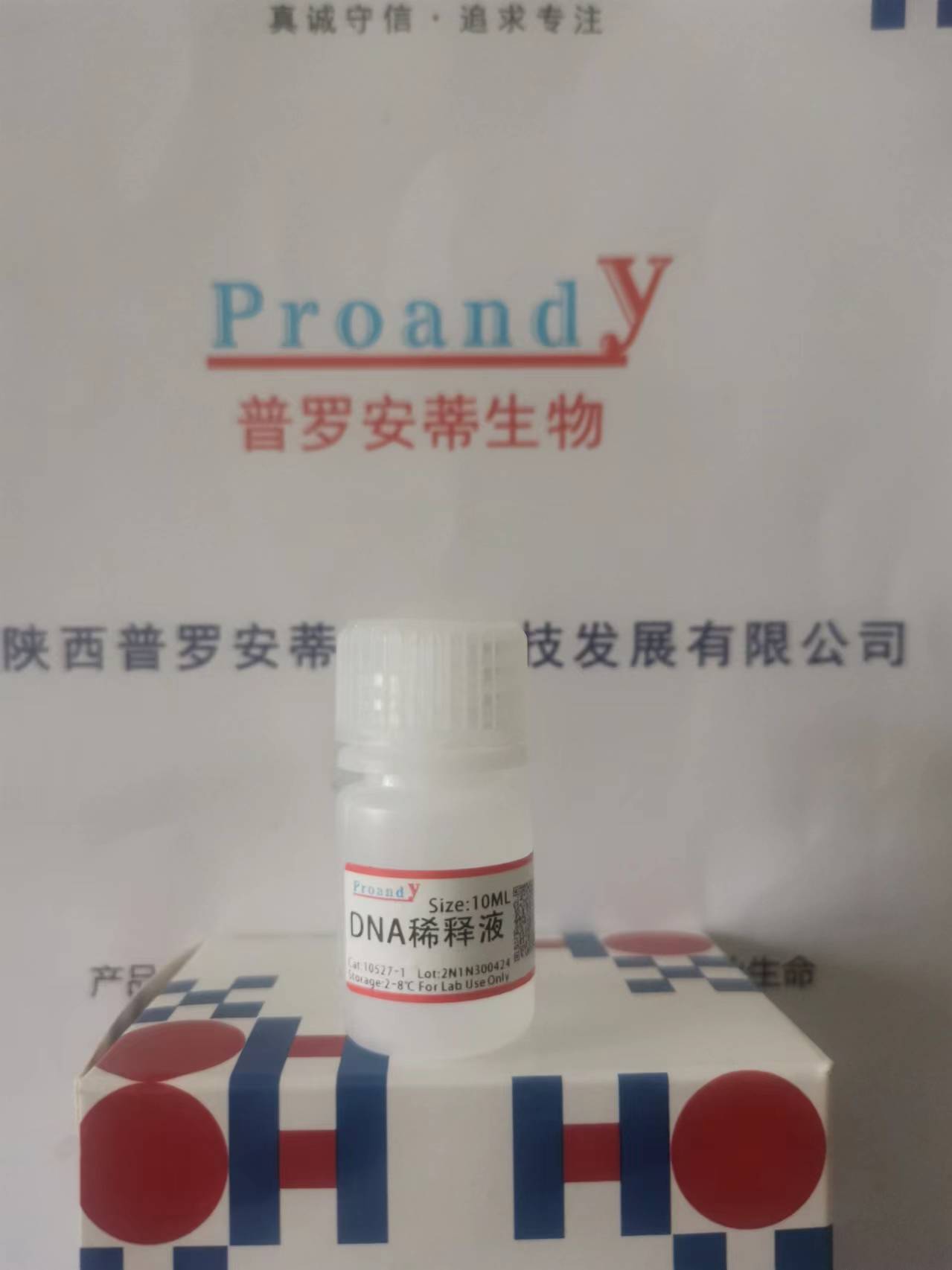 1714450254440273.jpg DNA稀釋液.jpg